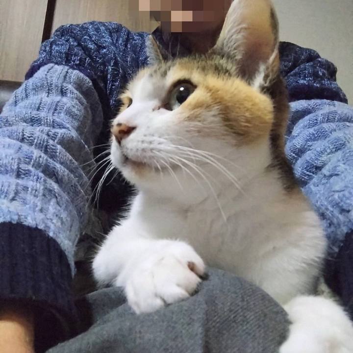 79161716 a0be 4dbc 9576 f898d7db5e6a 1764845111352