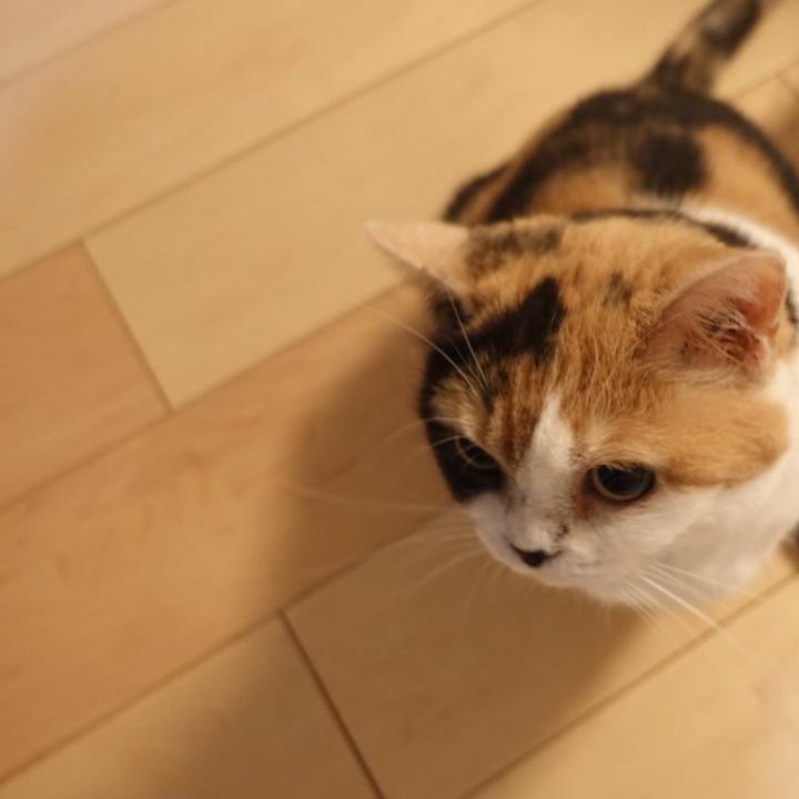 79162ab5 ae1d 458b 96b5 f9cedad4d6f4 1521991303335