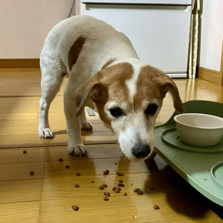 791641d1 8d6d 4cf8 bbe4 94a00eacd01b 1707917595797