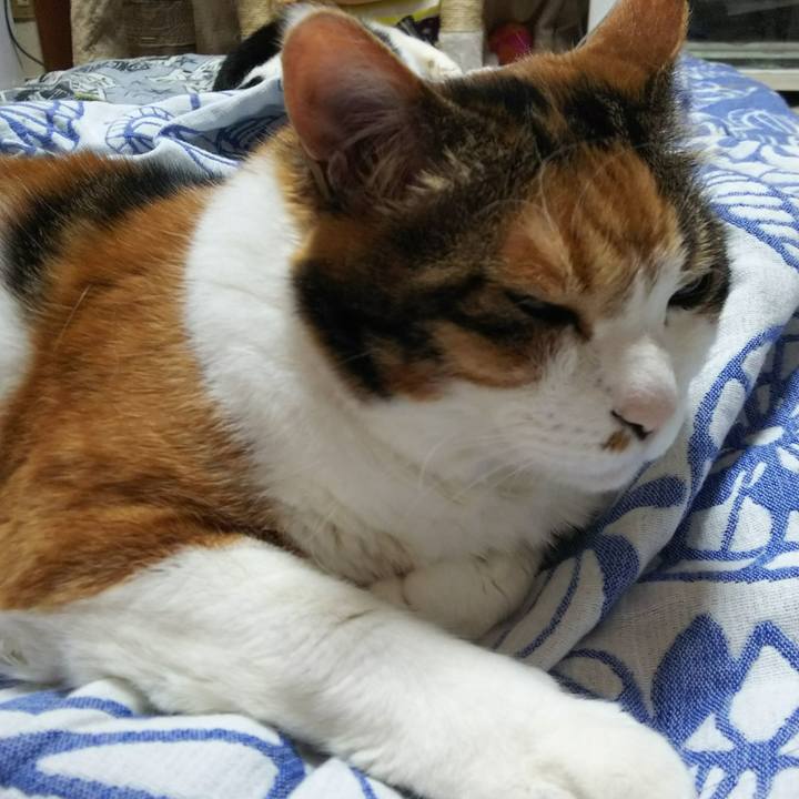 791643c2 afd2 4765 a867 0399779a33c8 1528148405003