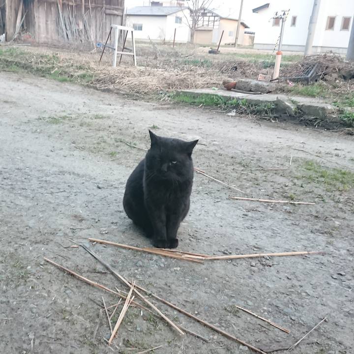 79168756 8526 4823 a9a3 1c29b332e83d 1649843613204