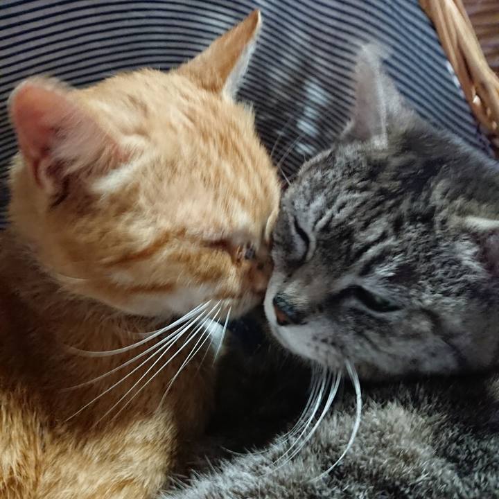 79169dd3 79d6 4bc1 a2b8 c604e25bdc94 1558860792658