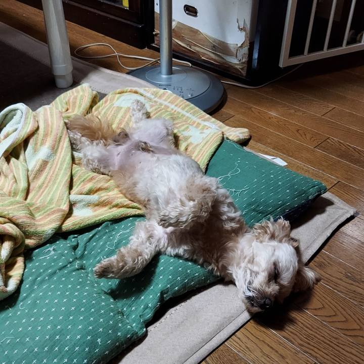 7916f25d 1b5b 47f6 a47a bbd01684f1af 1627107165260