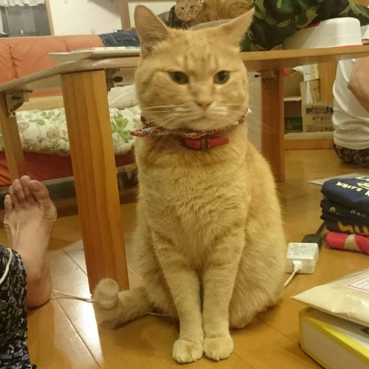 79171b39 997f 4a93 aae3 dab64939fe9b 1527680105255