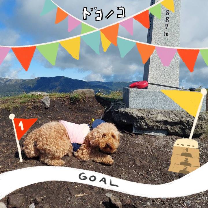 79173302 24a2 4dbf ba74 48229d5ca213 1729343623231