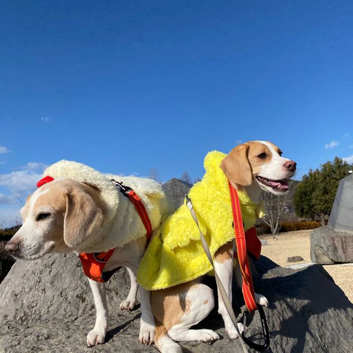 79175871 31d5 430b 84f4 71e0af137458 1576296187609