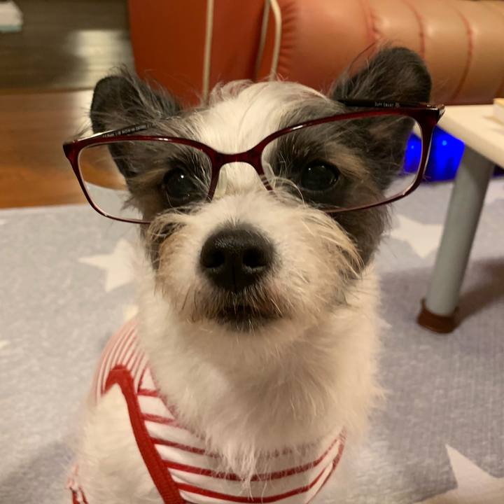 7917c0b2 7e15 4d50 80c5 d473616c98cb 1563883424103