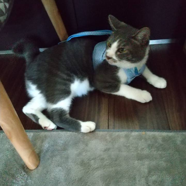 7917db9f b0e0 48f2 af75 b4833476112a 1599203127897