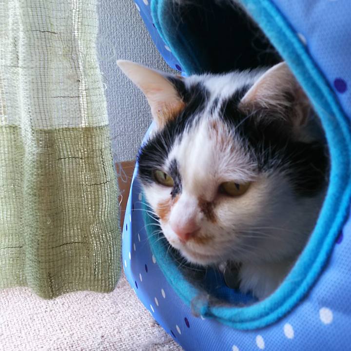 7917e463 7507 48dd a589 3fc8f6e61d25 1526945420622