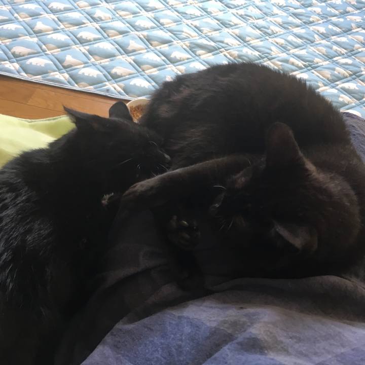 7917ed86 ebbc 49f5 aa5d eee7b71e845a 1533426947588