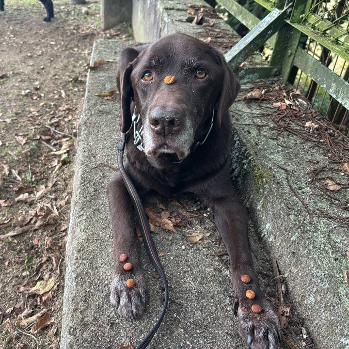 79180a51 cbae 4f6b 84bb 073ae03cfbb3 1761462658314