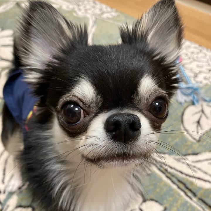 7918384c 3a0d 4ff9 b5b9 0fa49f191618 1620221828349