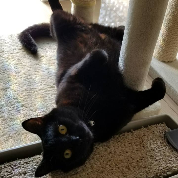 79187f71 d967 4dd6 9273 388bf675912b 1519651615534