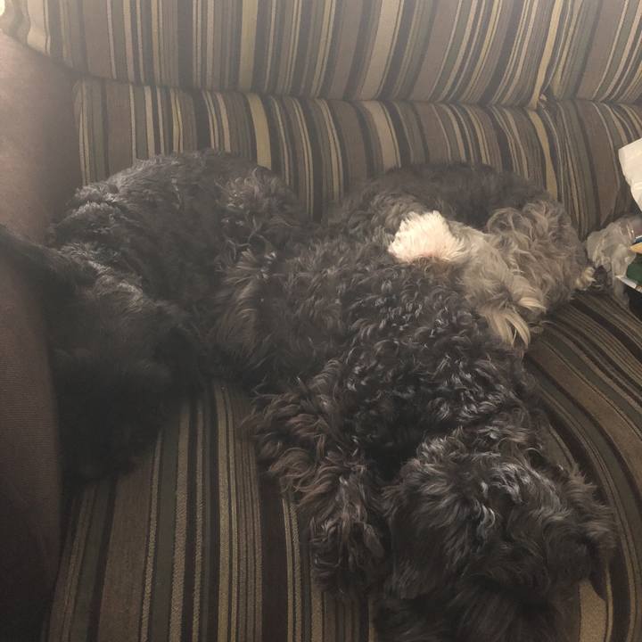 7918d3e5 5897 481a a14f e458546be6cd 1556668112754