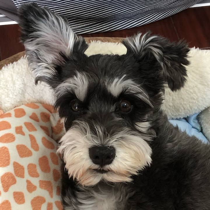 79190169 bb27 4bb1 9a1f 0806cd9b57db 1662944263357