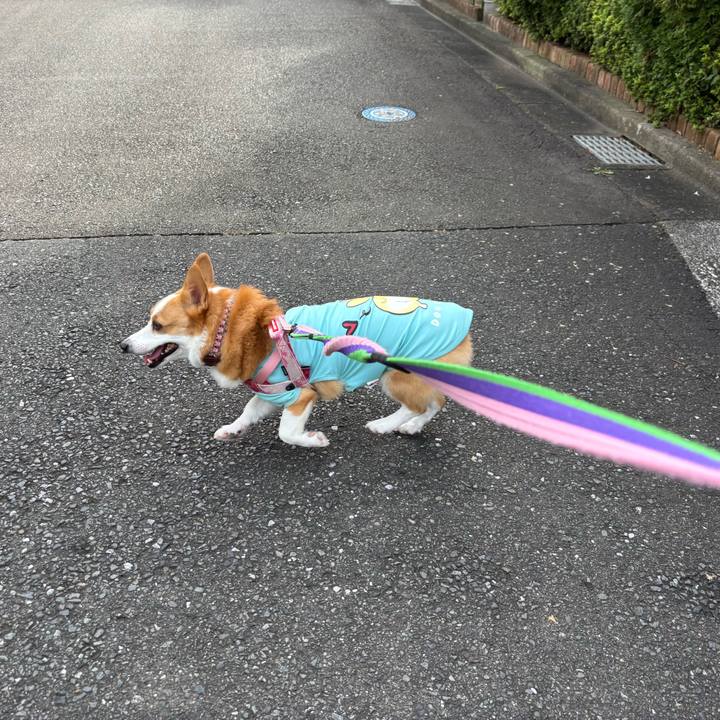 791903a3 e48e 4fb3 b32c b169187c8e2a 1759538671861