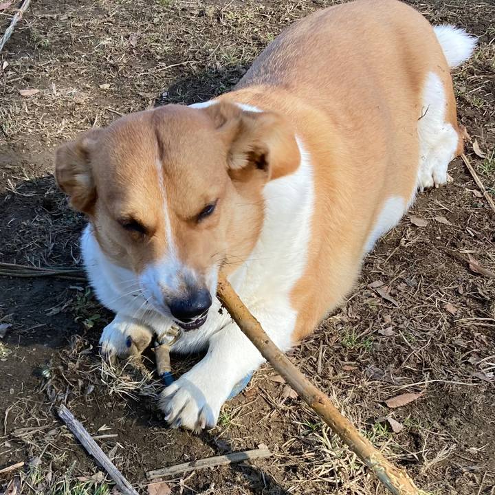 79190646 77e8 4fc5 b9b2 53a3562c6e32 1643361979722