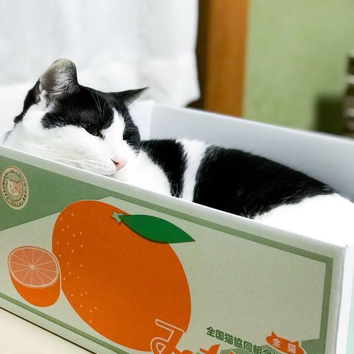 79193a15 6b7b 414d b642 7ccdf86b7679 1515054226778