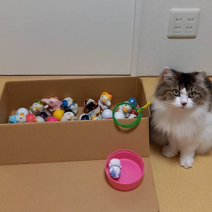 79194e44 6c80 42de 83df b24b46656e74 1630226910801