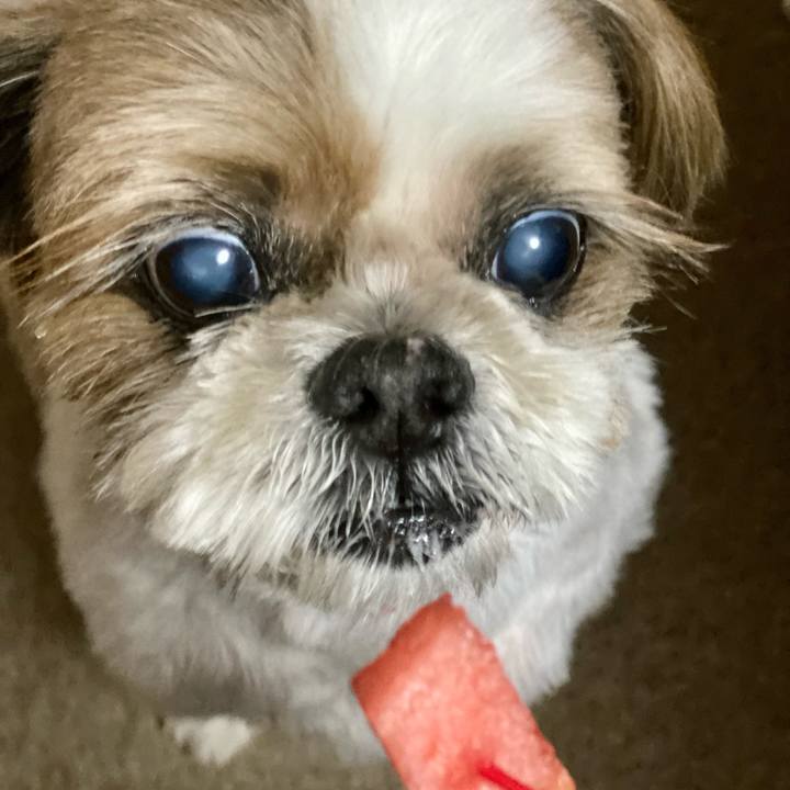 79197014 436a 47e1 917d 06897f24d930 1625396117241