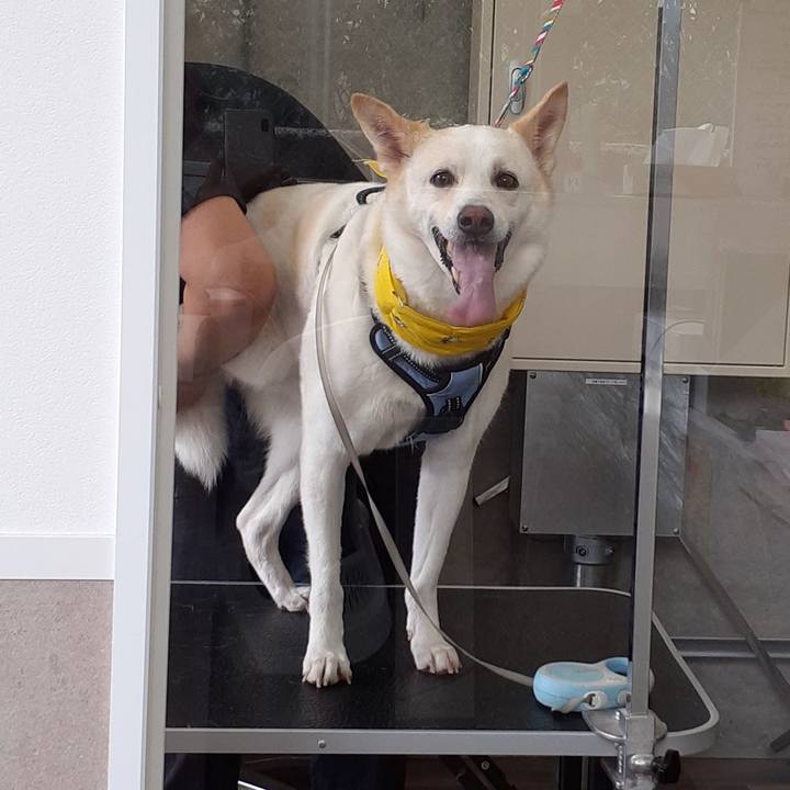 7919969c 195c 46ab b883 8186758b40a3 1690092769583