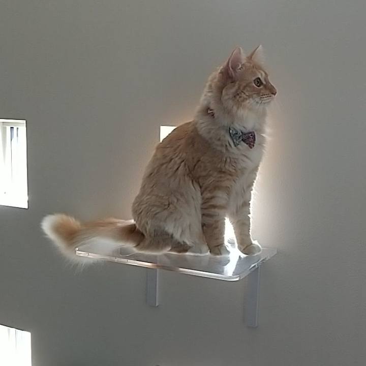 7919bc70 4e88 443d b139 2b93fa6b9ea7 1631250526041