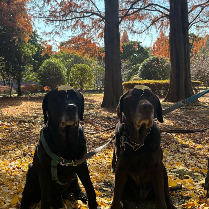 791a8e79 c65f 428e 822f 85c665a1119c 1765025161011