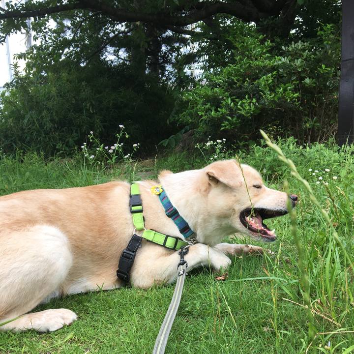 791a97dc f1d9 4f6d be20 75a69157e1ea 1530675866893