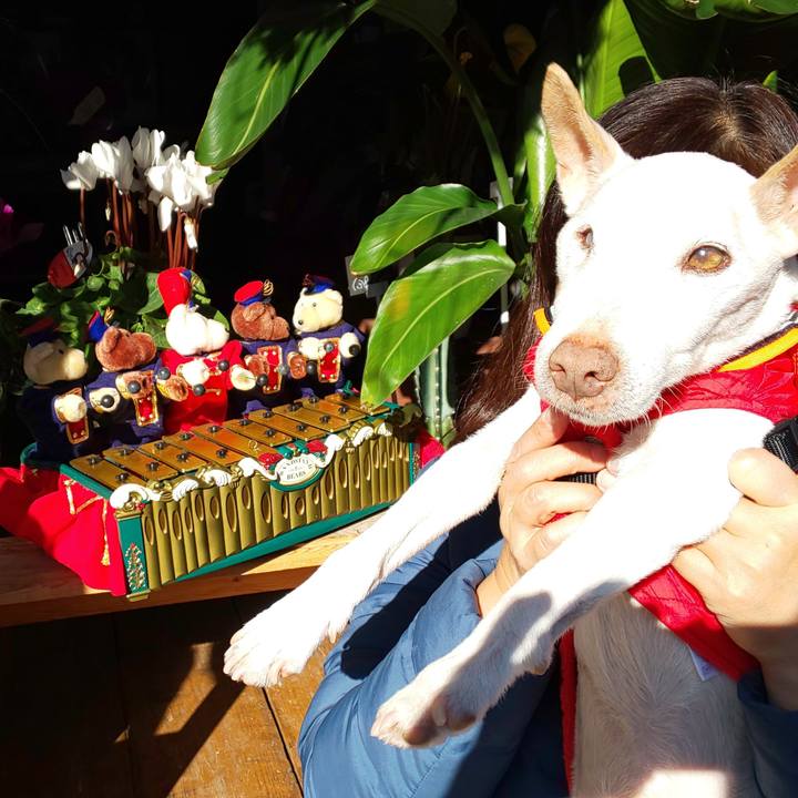 791a9b86 6ceb 4700 815f 3b2972d500e7 1577249785564