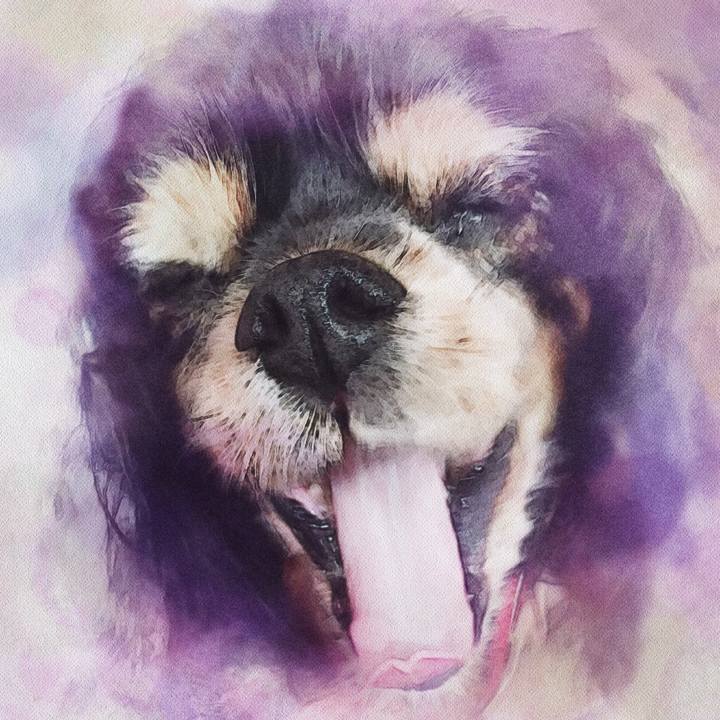 791a9c08 bb4c 44fd 8cf8 91ad11ecdd95 1547823509627