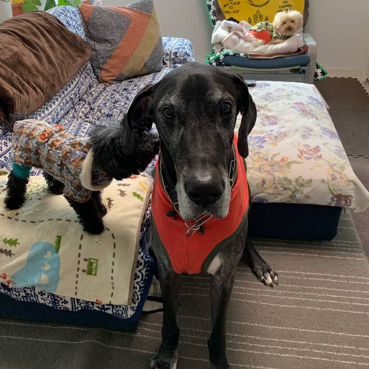 791ab743 af1d 4e96 9a2c 3eb5cf6cf9ba 1585868402562