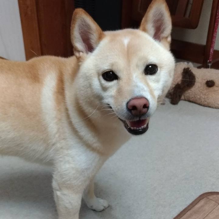 791ac1f7 4ce6 4c68 a16a acfecd7fb5f4 1565262480191