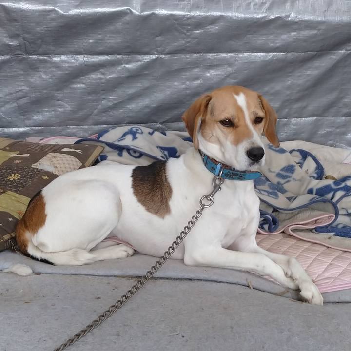 791b1d2e 2a58 4d84 bfe5 be26e94b897d 1606535397762