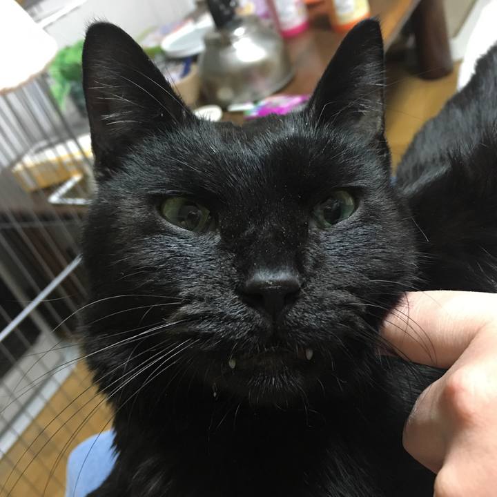 791b3502 08ab 476f aee9 7c2ded017893 1552217902637