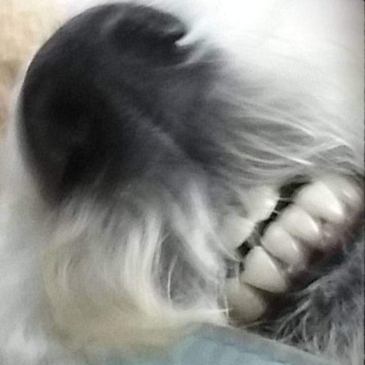 791b4ee7 6202 46cc ab3b 4820af2a3f2b 1565350759034