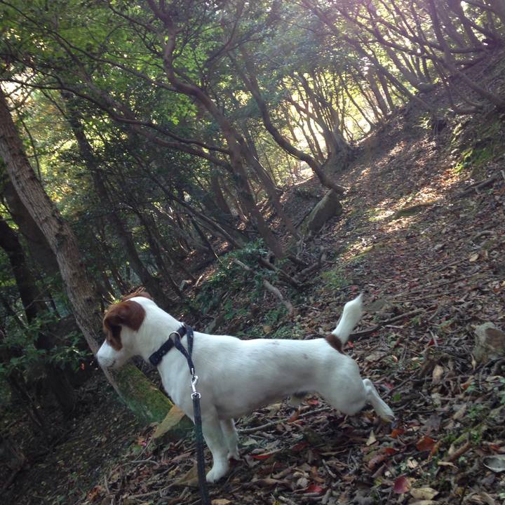 791b5150 3cfc 4c8a 94ec 966deb5ce079 1509956375893