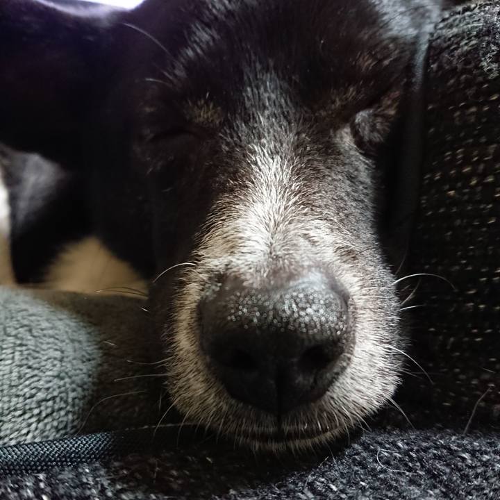 791b9693 feb7 4ba7 811d 77f7c4c2d7a0 1519395850103