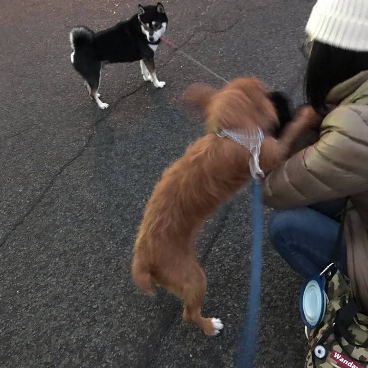 791bae2f e34b 4345 9d72 92d2c4e07911 1545034023588