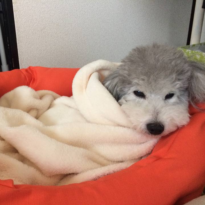 791bc31b 3f0a 4b66 911e 5ace81ea10b8 1509058987865