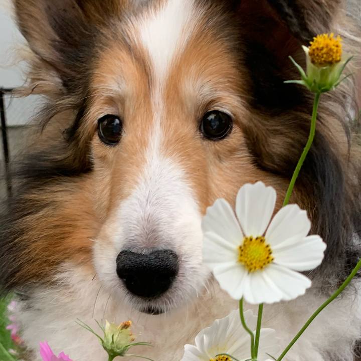 791bca37 396f 4ab5 b35b cb4873a3a70c 1725878070599