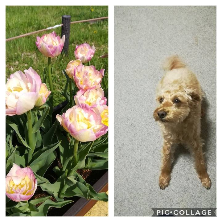 791becab c209 4674 845a 5783797e853b 1558391193483