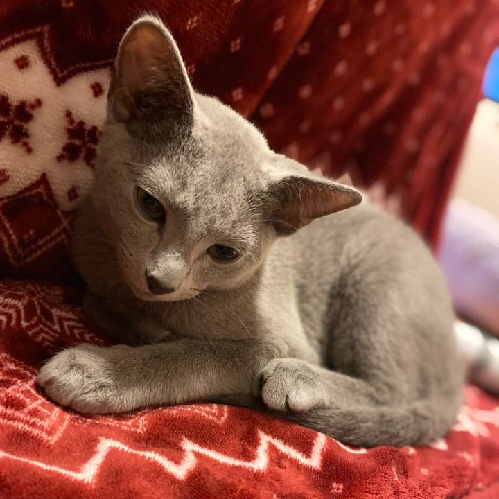 791c5423 6c64 4173 a601 c9287c55c18d 1606881153410