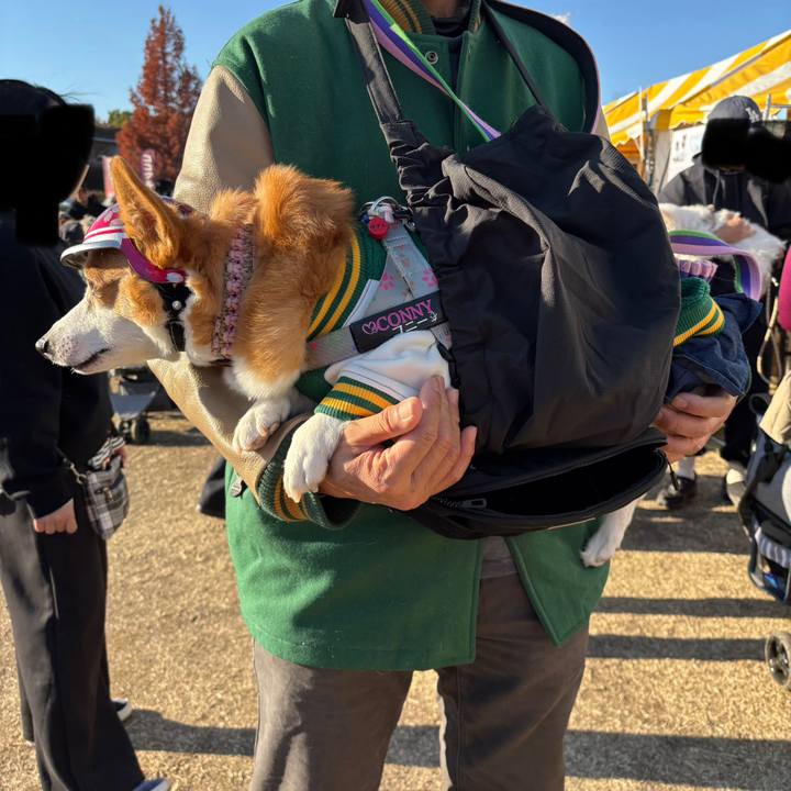 791c8b26 b6da 4c92 89ca 745654950ece 1765091930132