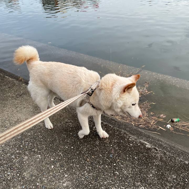 791ca79a e9c2 4050 ba4c 216a009dbf3f 1634725514516