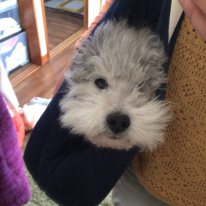 791d1ca7 8bec 42d0 86f4 dbf91271ffc8 1747625641965