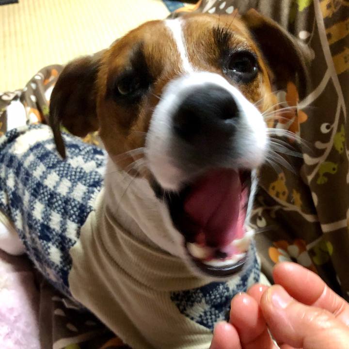 791d20b5 55dd 4195 90d0 838e15293700 1548115961899