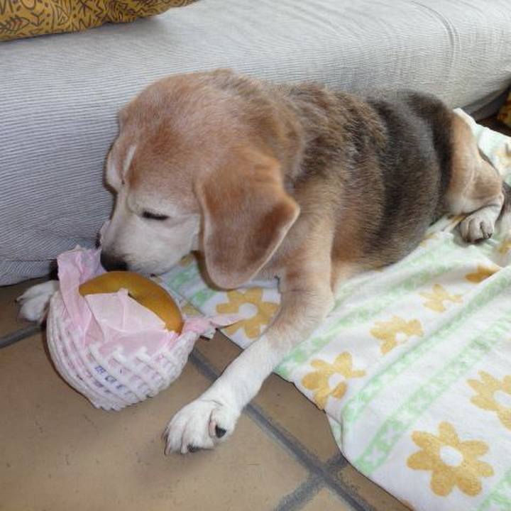 791d4c27 8043 4edc b79d b79360a1c082 1694997302512