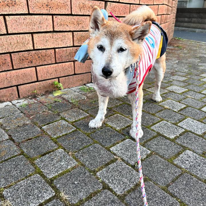 791d5875 750c 4951 bce2 4027c21cf30d 1763191168515