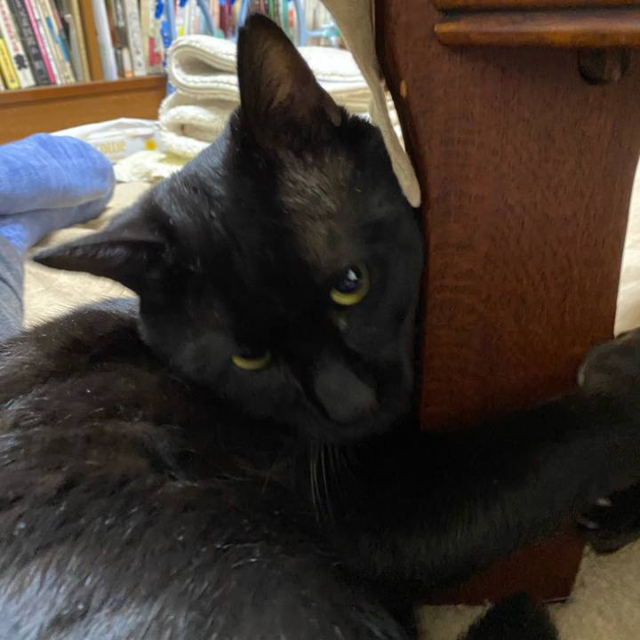 791d58cd 28b5 42e0 91c1 370a7b82f75d 1611400227520