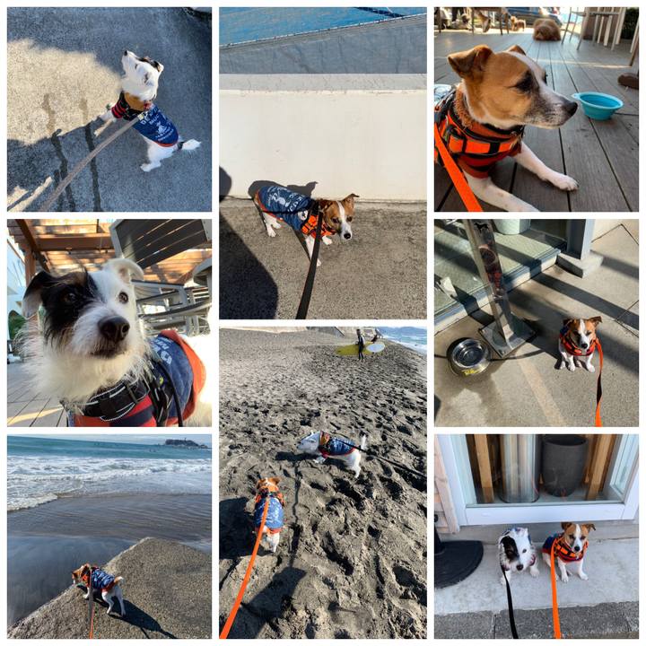 791d7518 aee6 4d53 be8c be2c8a9a972d 1546671673834